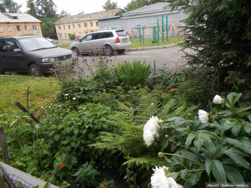 Июнь 2023 — Игровые куклы разных производителей (Разное): редкие бренды (фото 7)