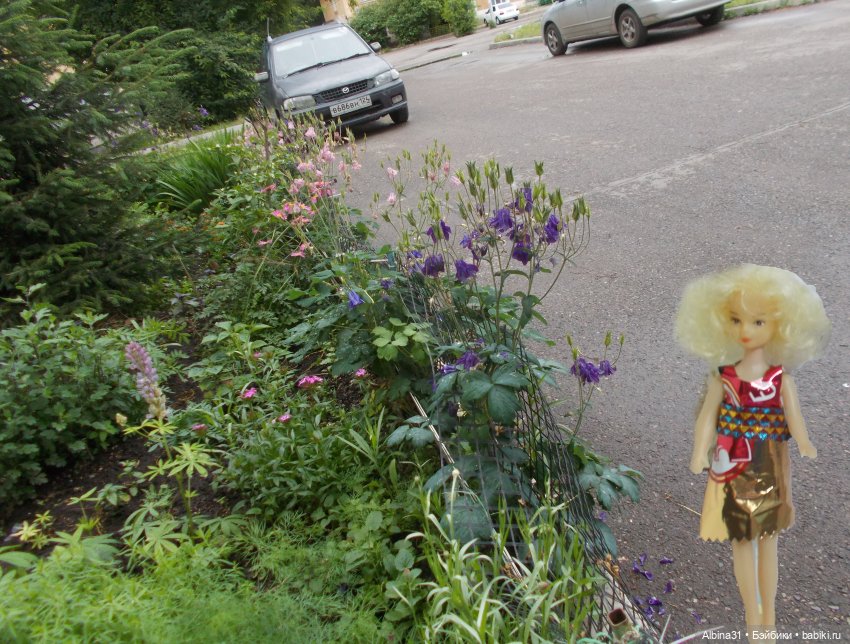 Июнь 2023 — Игровые куклы разных производителей (Разное): редкие бренды (фото 8)