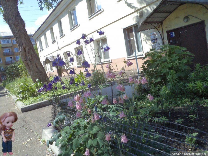 Июнь 2023 — Игровые куклы разных производителей (Разное): редкие бренды (фото 2)