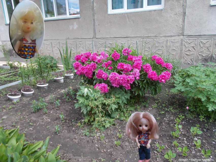 Июнь 2023 — Игровые куклы разных производителей (Разное): редкие бренды