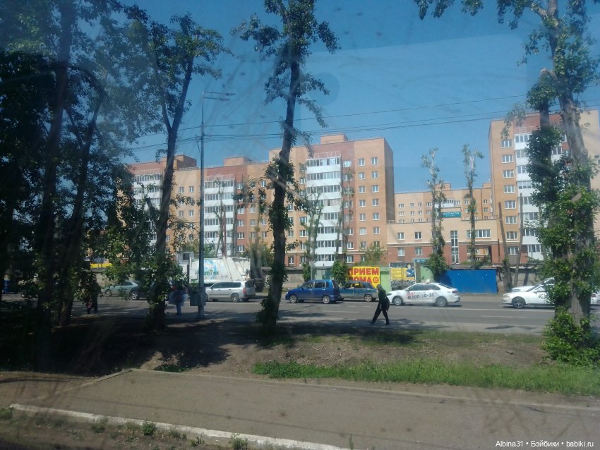 Июнь 2023 — Игровые куклы разных производителей (Разное): редкие бренды