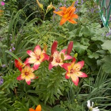 Городские зарисовки, август 2023 год