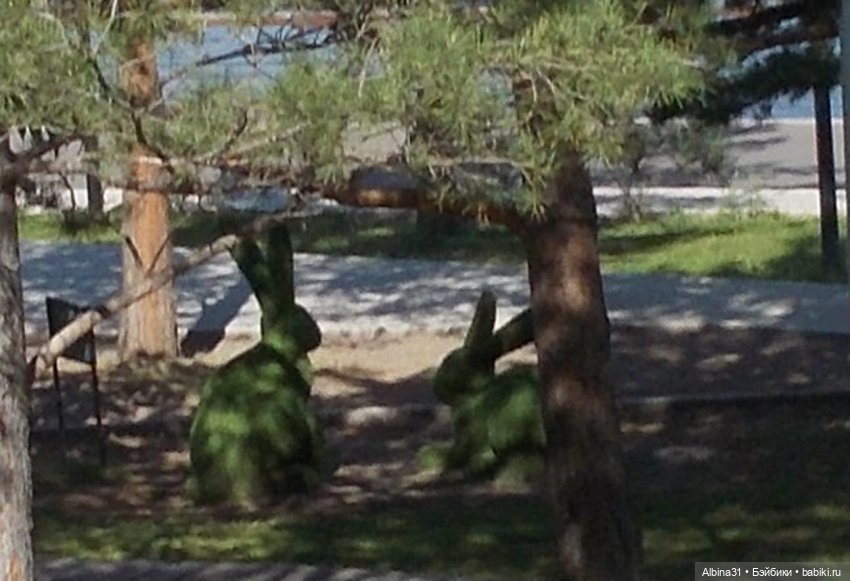 Городские зарисовки, август 2023 год