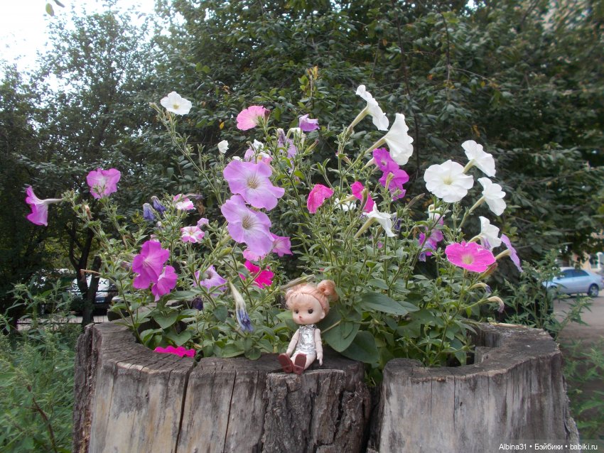 Городские зарисовки, август 2023 год (фото 8)