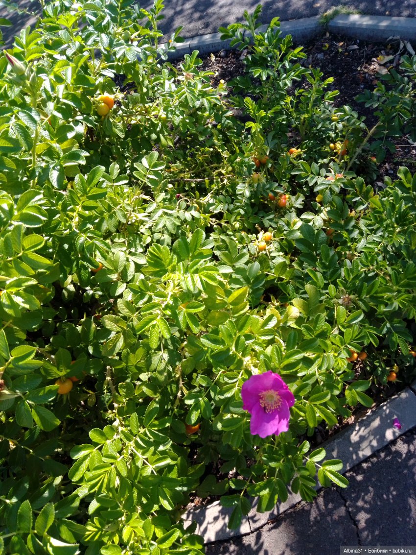 Городские зарисовки, август 2023 год