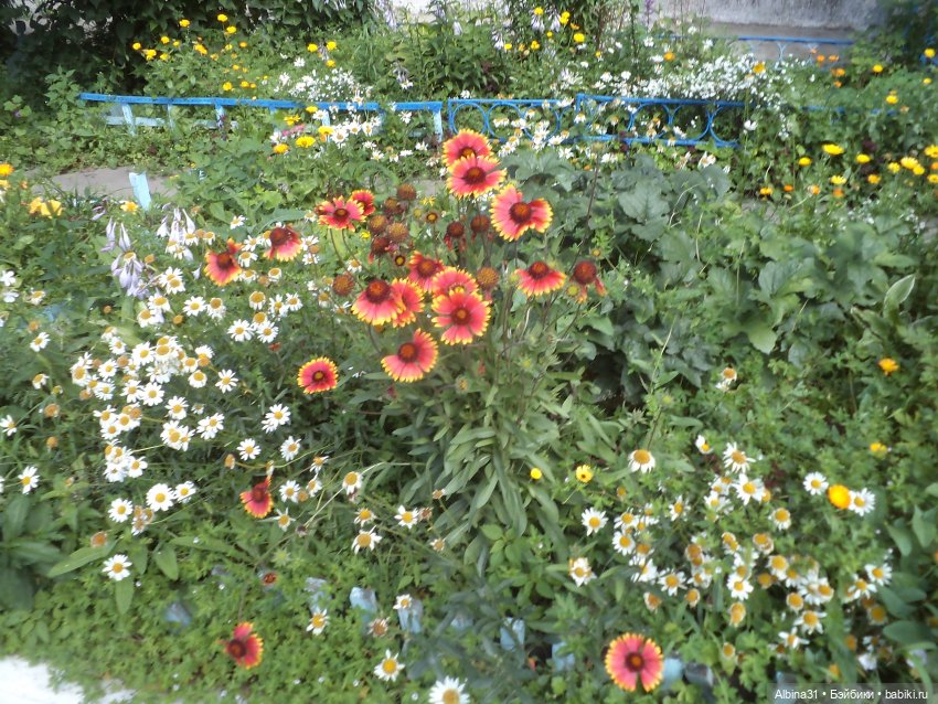 Городские зарисовки, август 2023 год