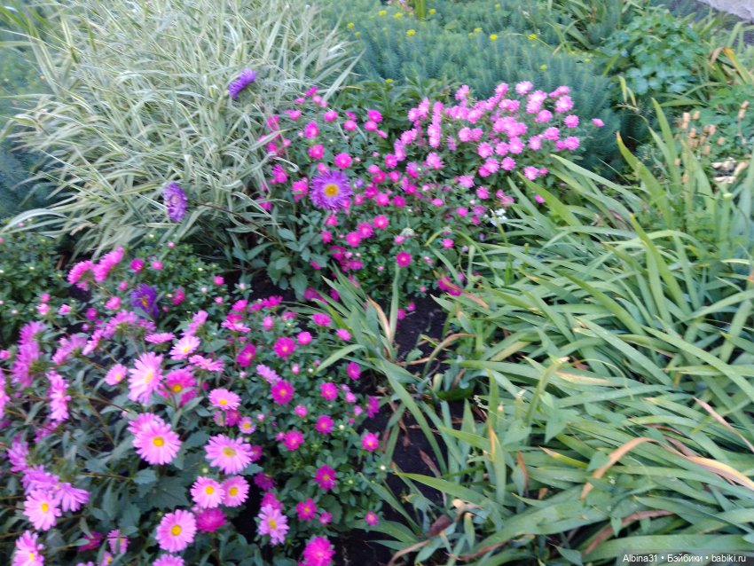 Городские зарисовки, август 2023 год