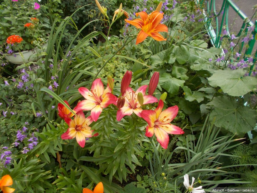 Городские зарисовки, август 2023 год (фото 9)