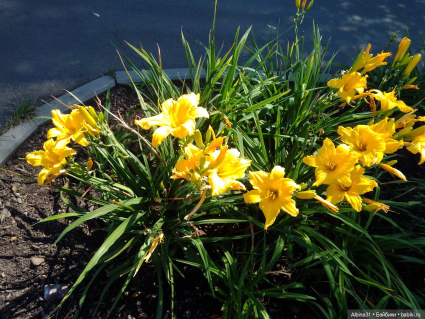 Городские зарисовки, август 2023 год