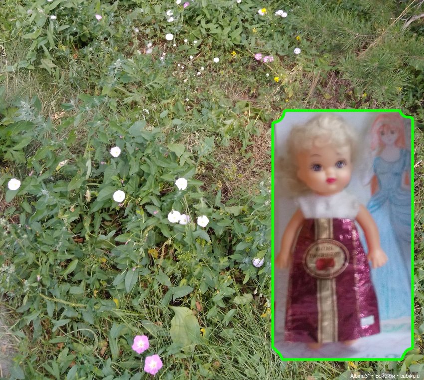 Городские зарисовки, август 2023 год