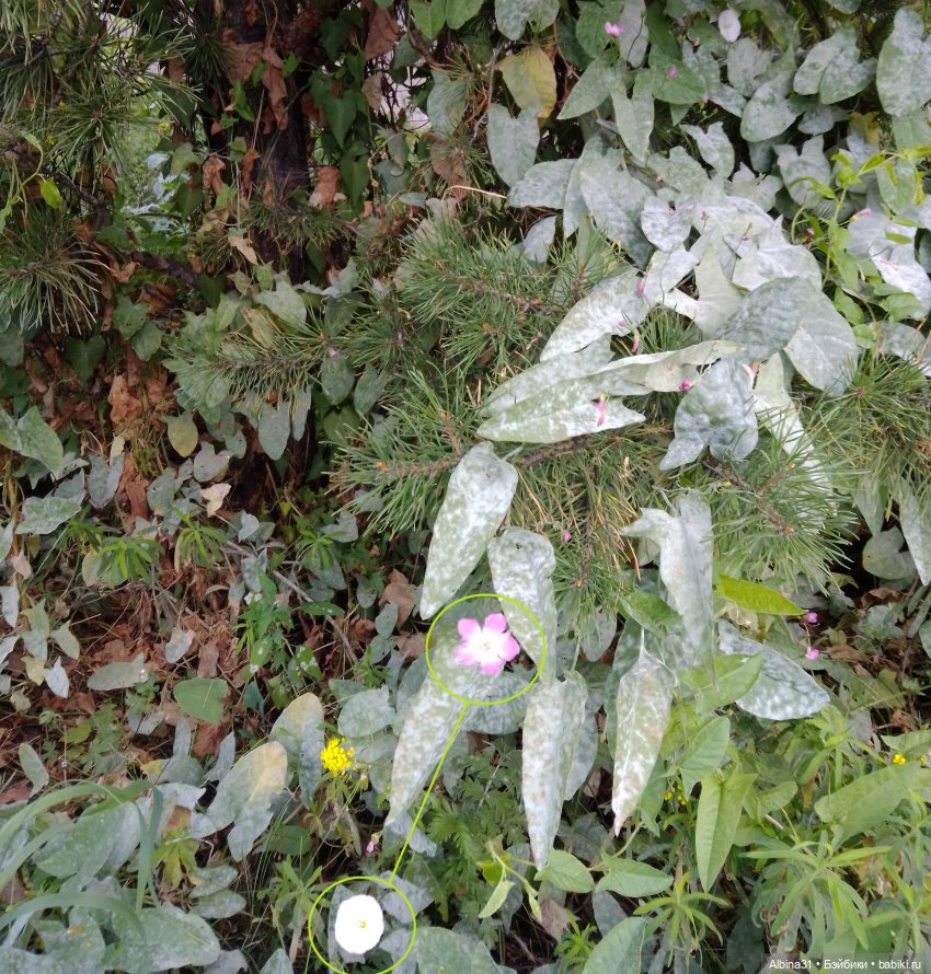 Городские зарисовки, август 2023 год