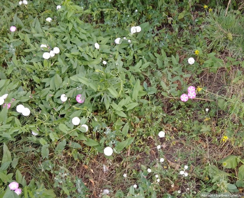 Городские зарисовки, август 2023 год