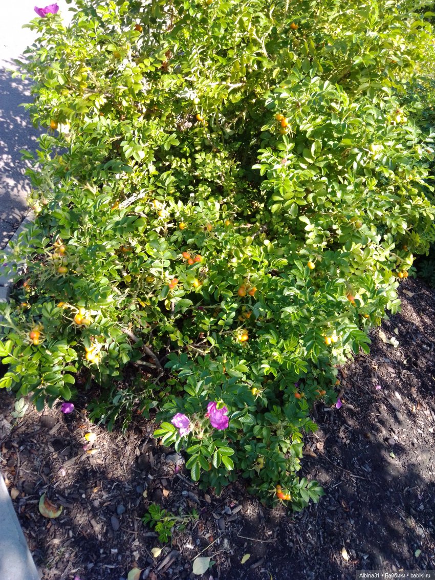 Городские зарисовки, август 2023 год