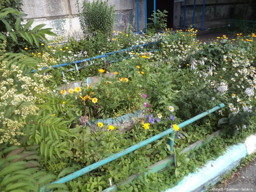 Городские зарисовки, август 2023 год