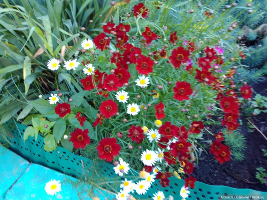 Городские зарисовки, август 2023 год