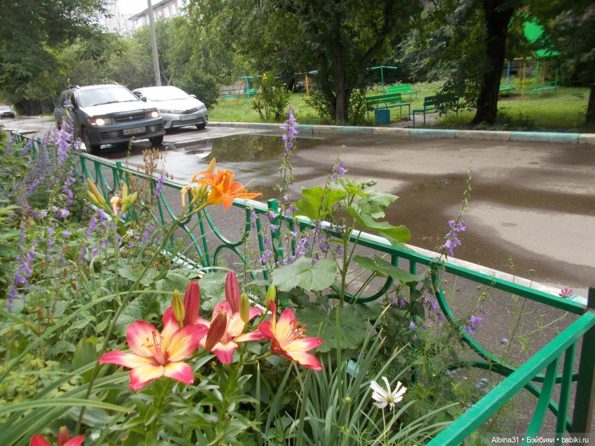 Городские зарисовки, август 2023 год (фото 10)