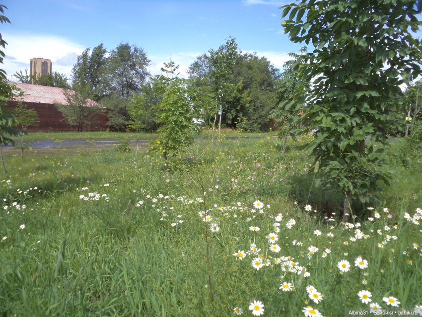 Городские зарисовки, август 2023 год