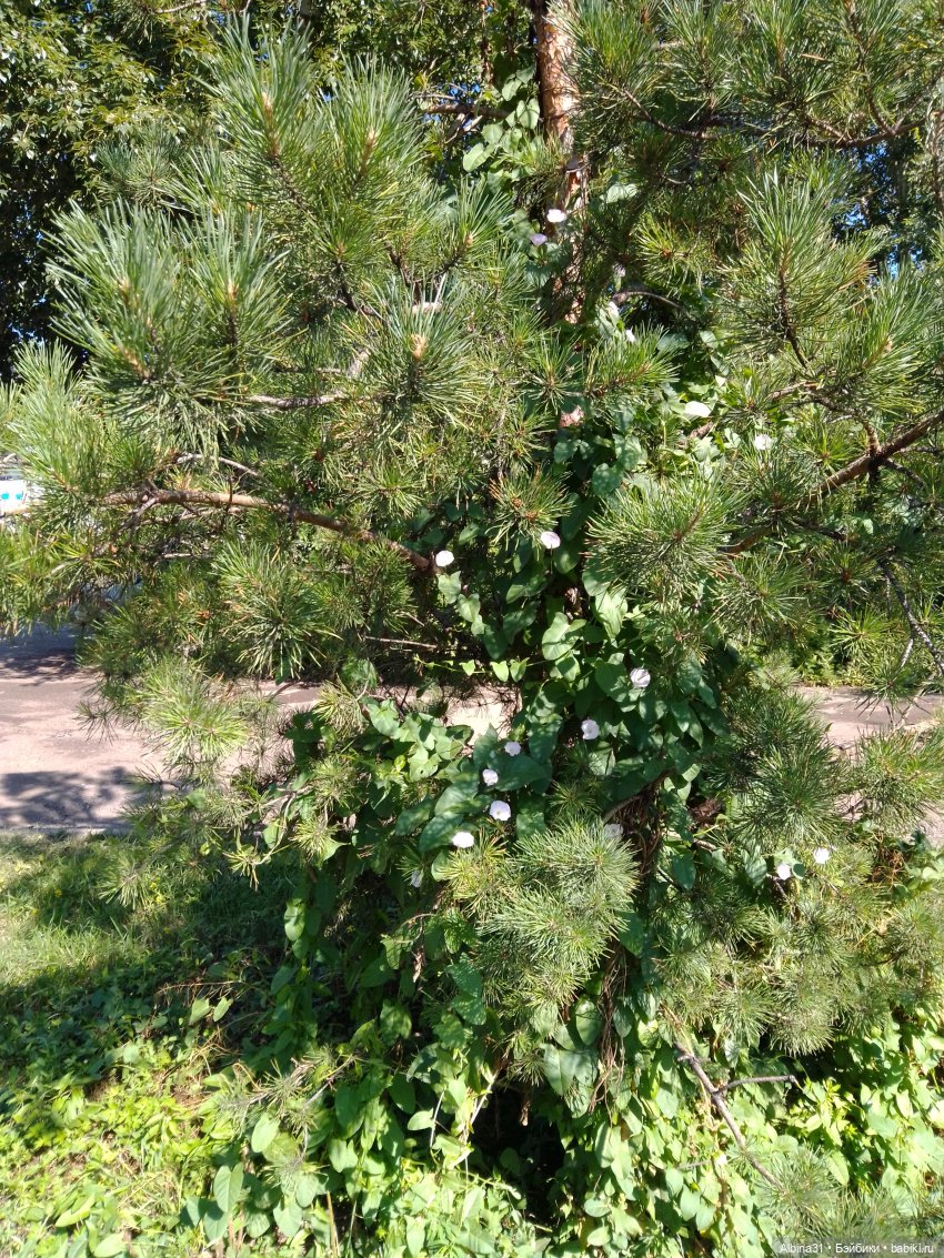 Городские зарисовки, август 2023 год