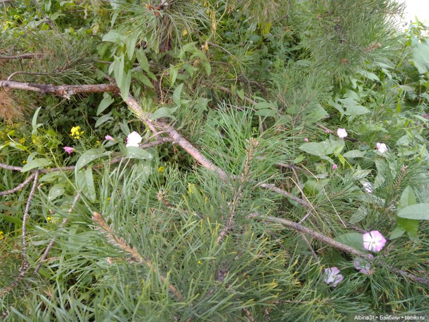 Городские зарисовки, август 2023 год