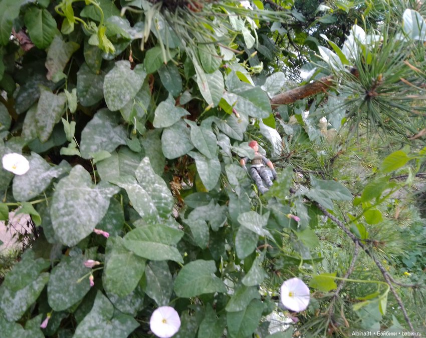 Городские зарисовки, август 2023 год