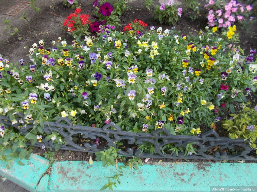 Мои "последние" новенькие лето 2023 год