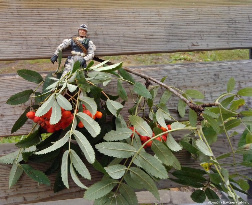 Сентябрь 2023 год — Игровые куклы разных производителей (Разное): редкие бренды (фото 2)