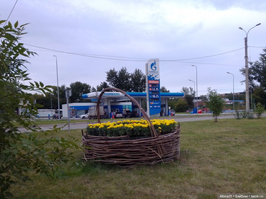 Сентябрь 2023 год — Игровые куклы разных производителей (Разное): редкие бренды