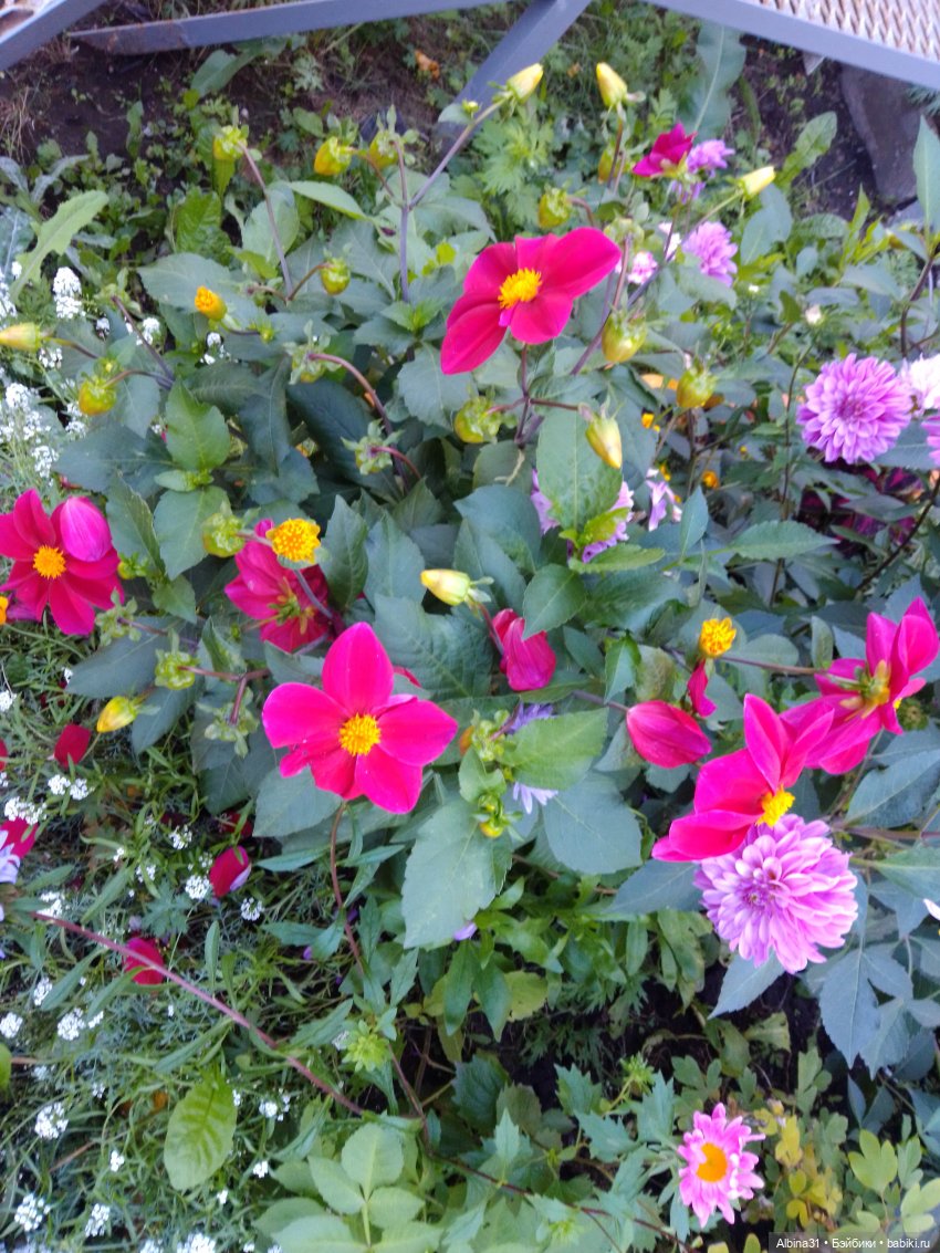 Сентябрь 2023 год — Игровые куклы разных производителей (Разное): редкие бренды