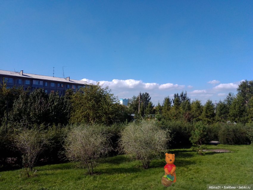 Сентябрь 2023 год — Игровые куклы разных производителей (Разное): редкие бренды