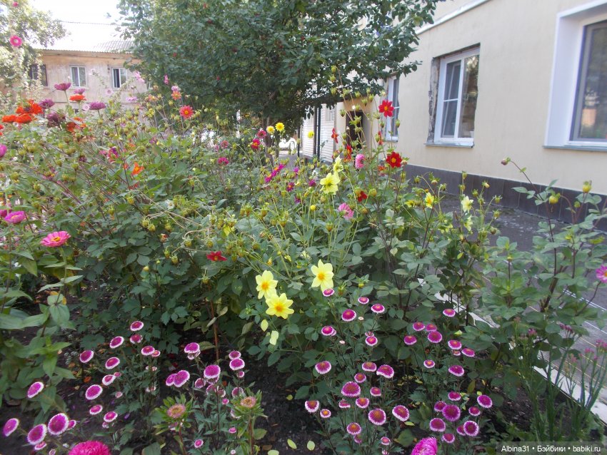 Немного лета — Игровые куклы разных производителей (Разное): редкие бренды