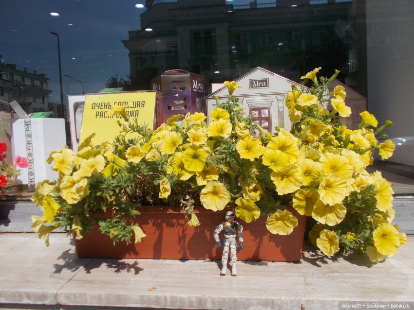 Немного лета — Игровые куклы разных производителей (Разное): редкие бренды