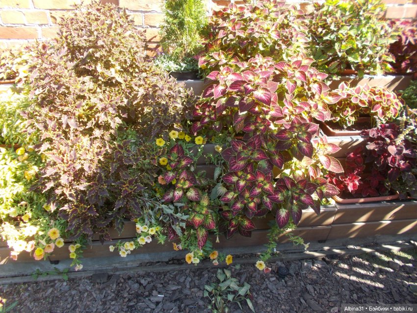 Немного лета — Игровые куклы разных производителей (Разное): редкие бренды