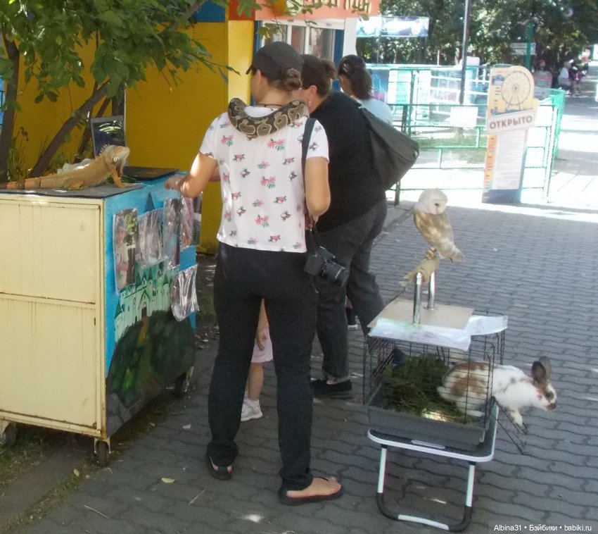 Немного лета — Игровые куклы разных производителей (Разное): редкие бренды