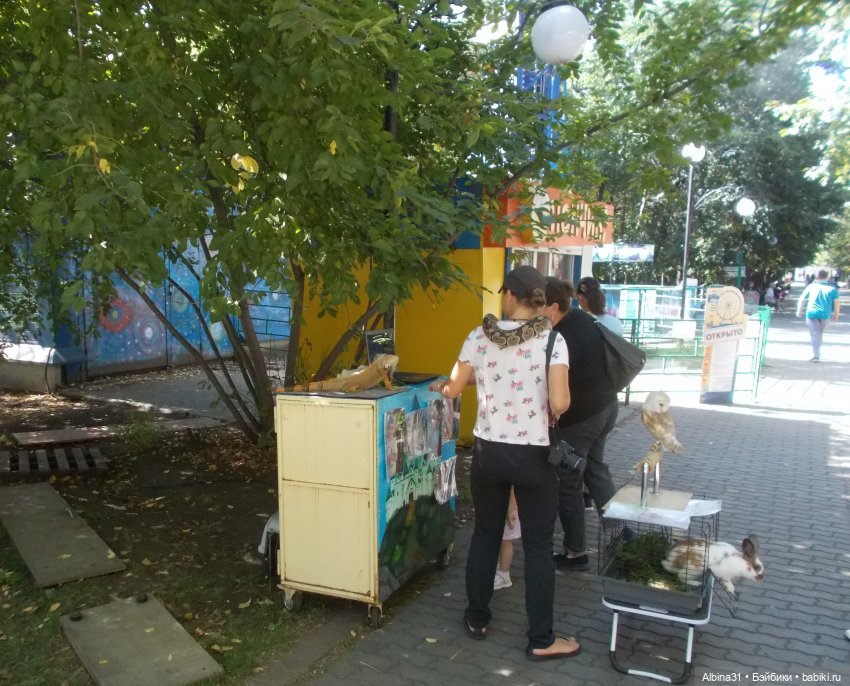 Немного лета — Игровые куклы разных производителей (Разное): редкие бренды