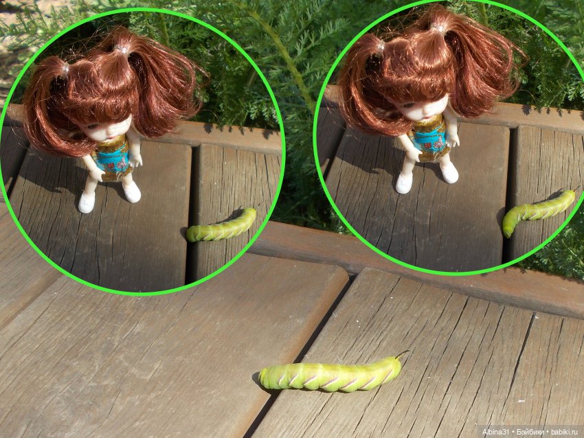 Немного лета — Игровые куклы разных производителей (Разное): редкие бренды