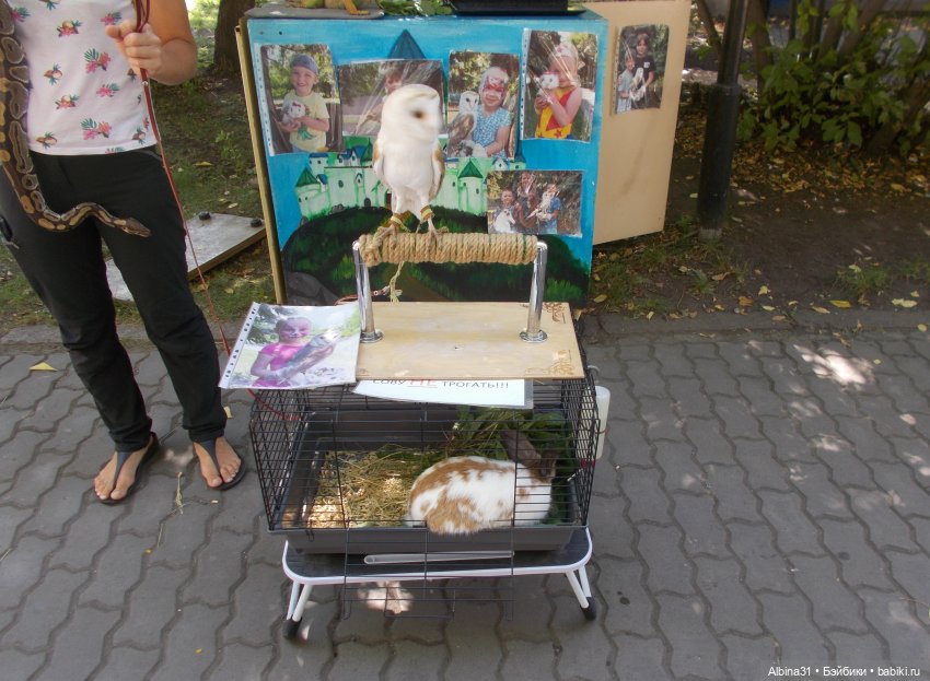 Немного лета — Игровые куклы разных производителей (Разное): редкие бренды