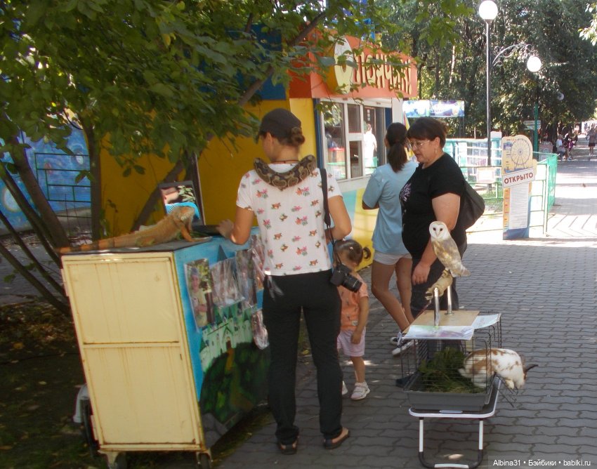 Немного лета — Игровые куклы разных производителей (Разное): редкие бренды