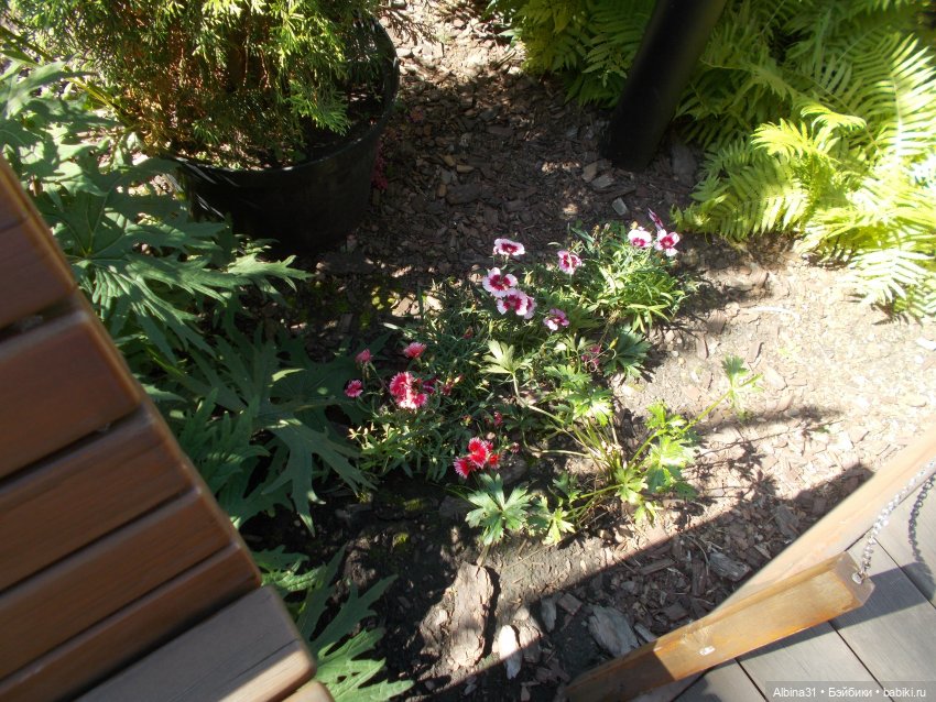 Немного лета — Игровые куклы разных производителей (Разное): редкие бренды