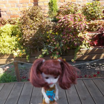 Немного лета