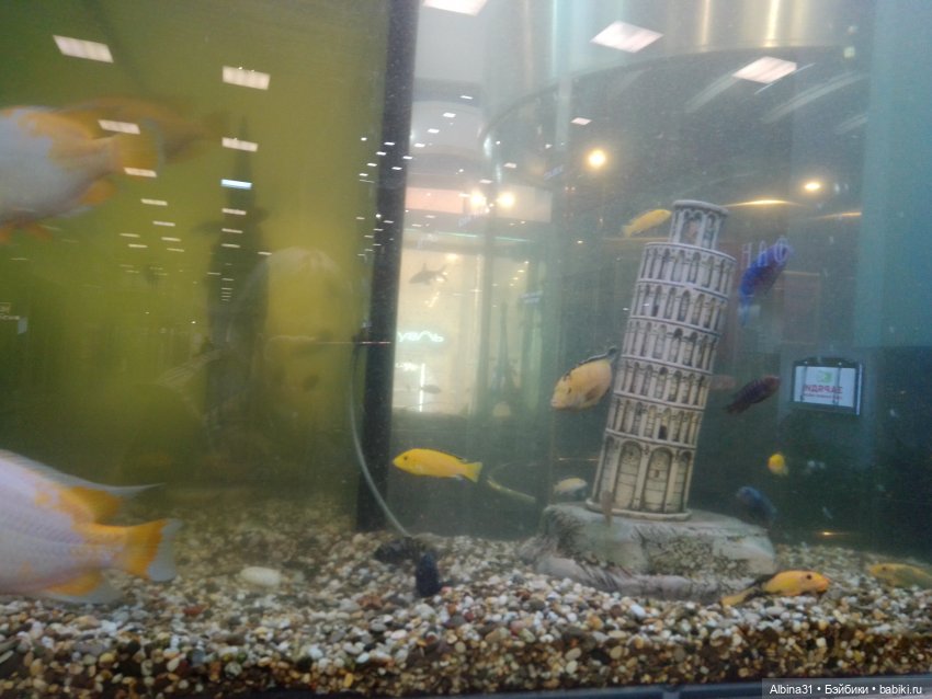 Осень в городе — Игровые куклы разных производителей (Разное): редкие бренды (фото 6)