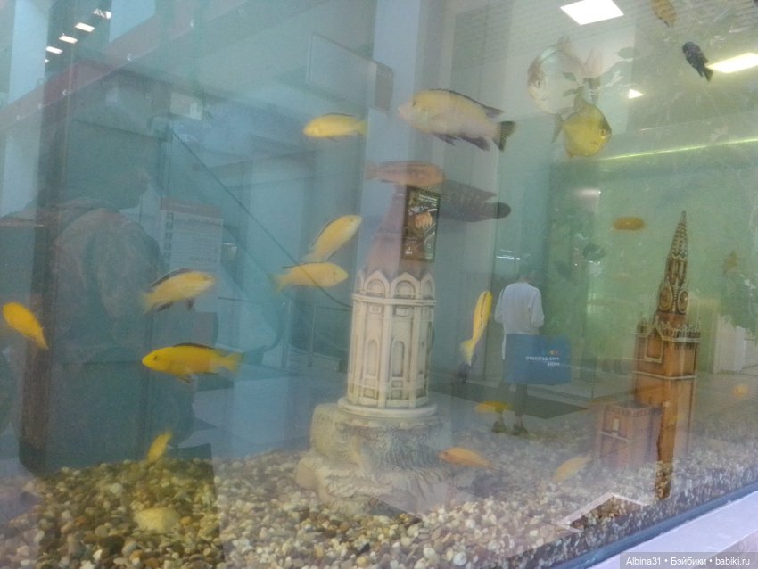 Осень в городе — Игровые куклы разных производителей (Разное): редкие бренды (фото 4)