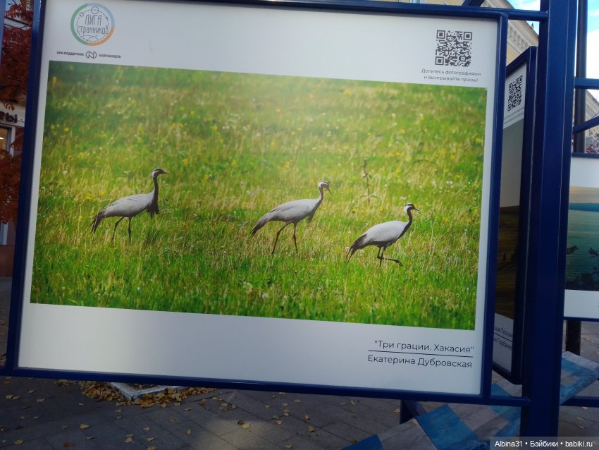 Осень в городе — Игровые куклы разных производителей (Разное): редкие бренды