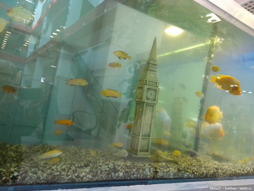 Осень в городе — Игровые куклы разных производителей (Разное): редкие бренды (фото 5)