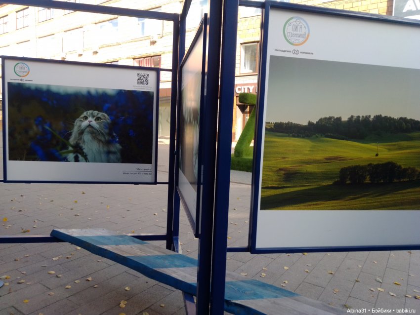 Осень в городе — Игровые куклы разных производителей (Разное): редкие бренды