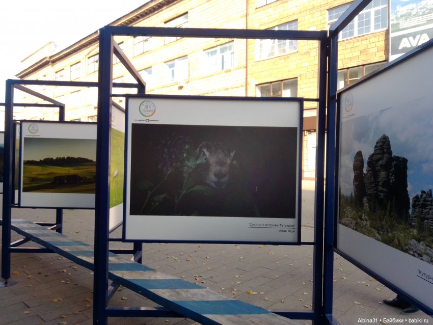 Осень в городе — Игровые куклы разных производителей (Разное): редкие бренды