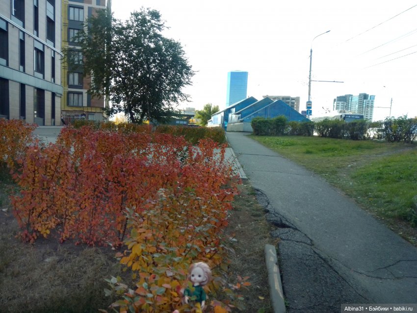 Осень в городе — Игровые куклы разных производителей (Разное): редкие бренды