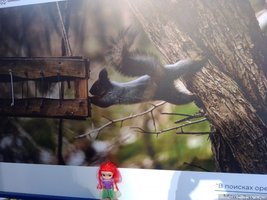 Осень в городе — Игровые куклы разных производителей (Разное): редкие бренды