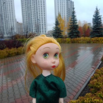 Не выставка, не музей, просто  игрушки  (15)