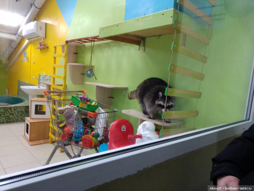 Прогулка в Люберцах — Игровые куклы разных производителей (Разное): редкие бренды