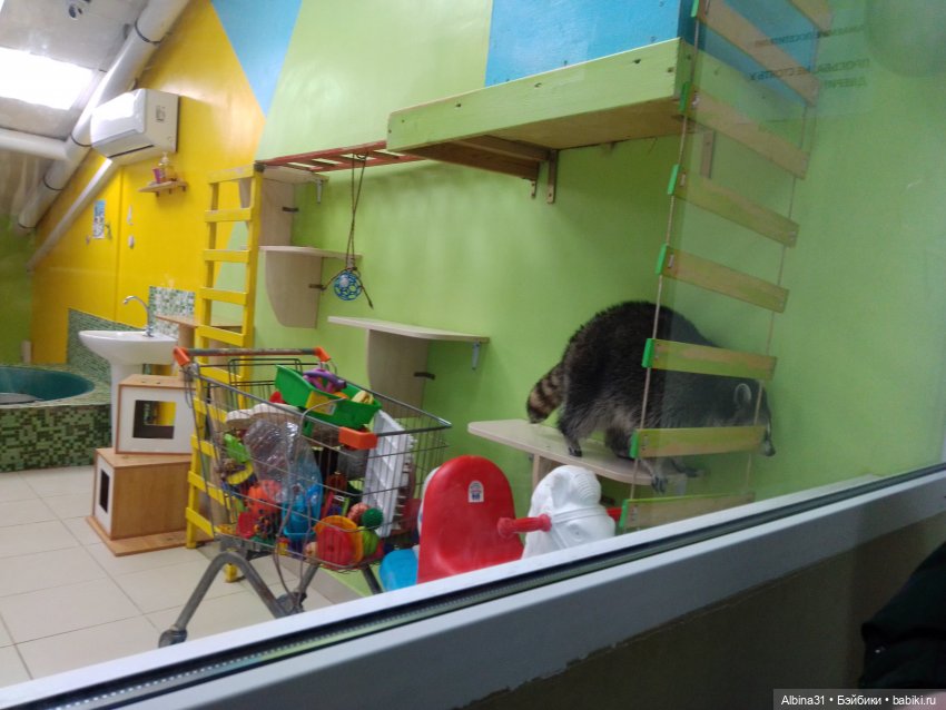 Прогулка в Люберцах — Игровые куклы разных производителей (Разное): редкие бренды